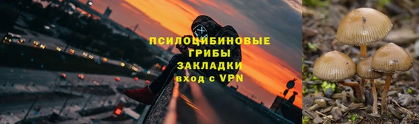гидропоника Бугульма