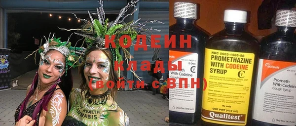 spice Бородино