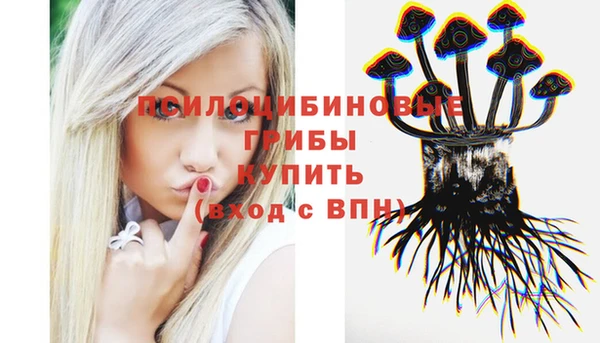 бошки Верхний Тагил