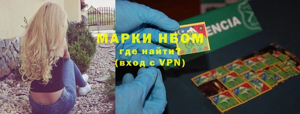 spice Бородино